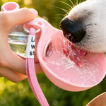 La Gourde Pour Ton Chien